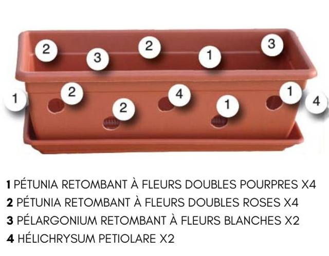 Suggestion de plantation